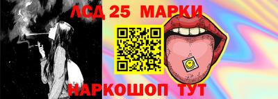 ГАЛЛЮЦИНОГЕННЫЕ ГРИБЫ Кингисепп