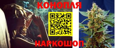 ГАЛЛЮЦИНОГЕННЫЕ ГРИБЫ Кингисепп