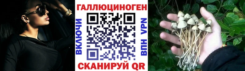 Псилоцибиновые грибы мицелий  дарнет шоп  Мирный 