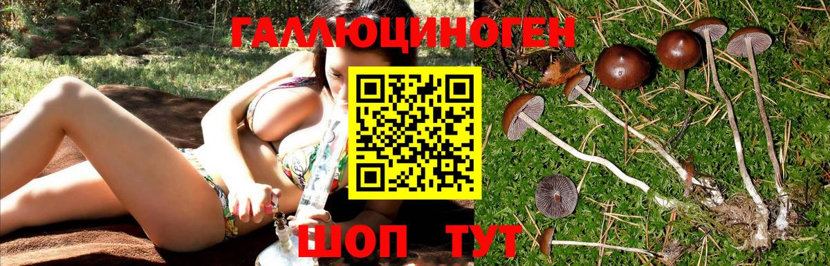 Галлюциногенные грибы Magic Shrooms Мирный